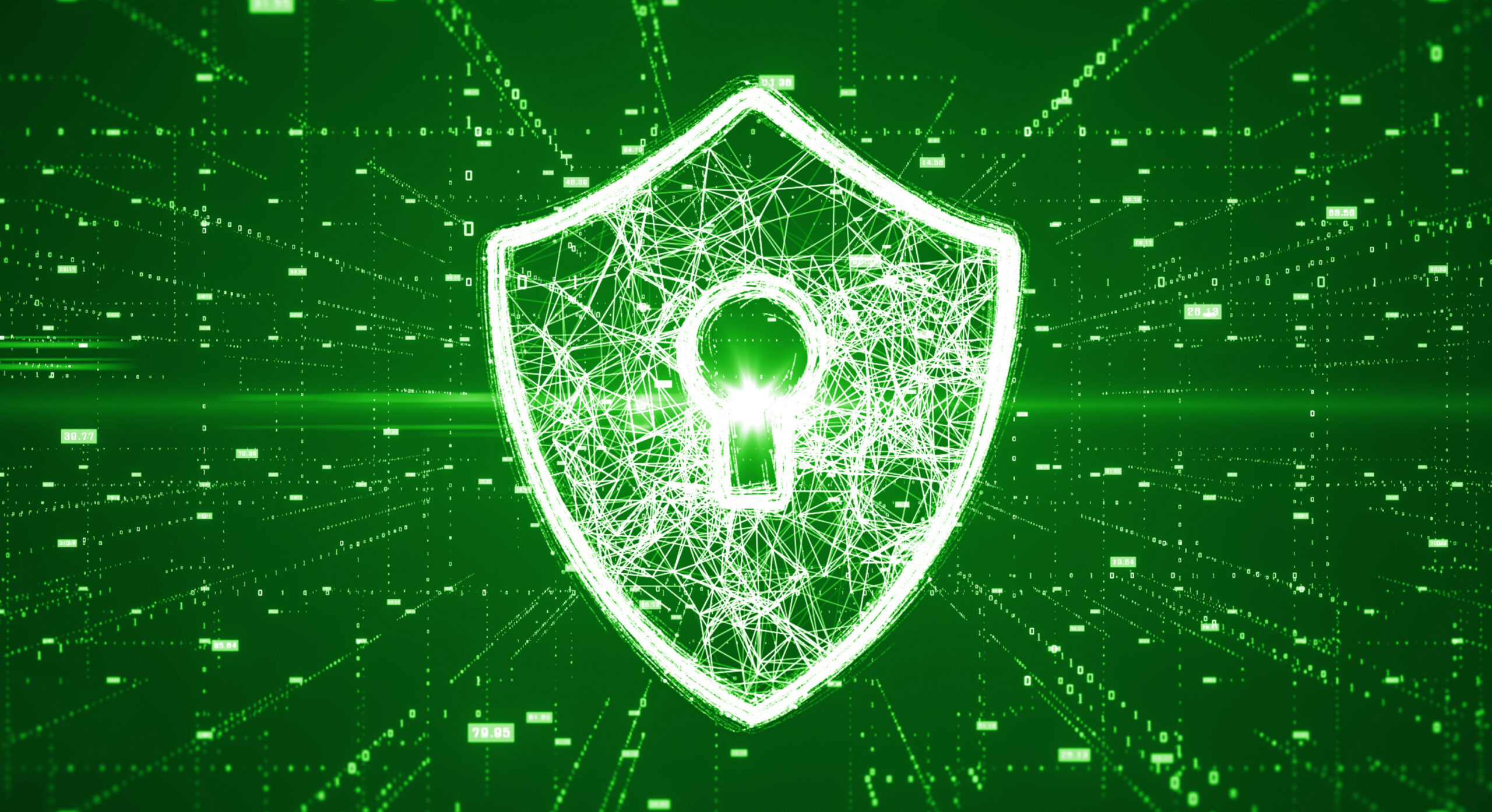 Security for your website